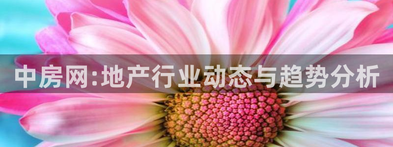 新宝5开好：中房网:地产行业动态与趋势分析