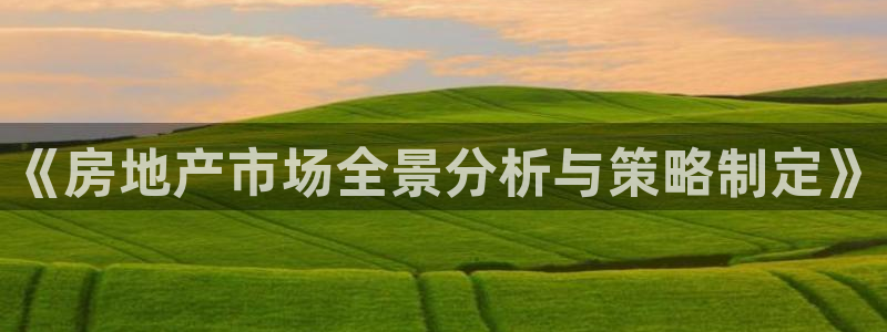 新宝5招商部：《房地产市场全景分析与策略制定》