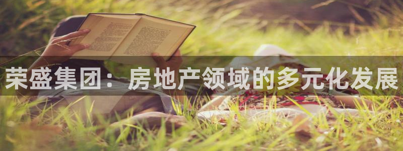 新宝5X：荣盛集团：房地产领域的多元化发展