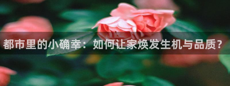 新宝5公司：都市里的小确幸：如何让家焕发生机与品质？