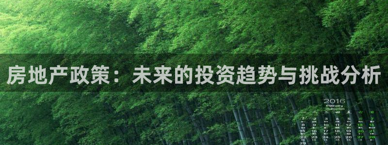 新宝5官方下载地址：房地产政策：未来的投资趋势与挑战分析