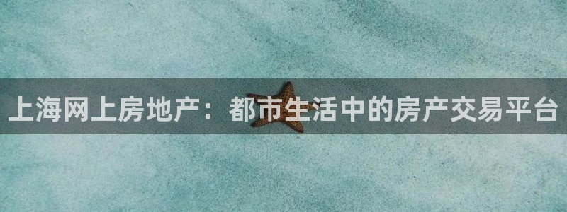 新宝5公司：上海网上房地产：都市生活中的房产交易平台
