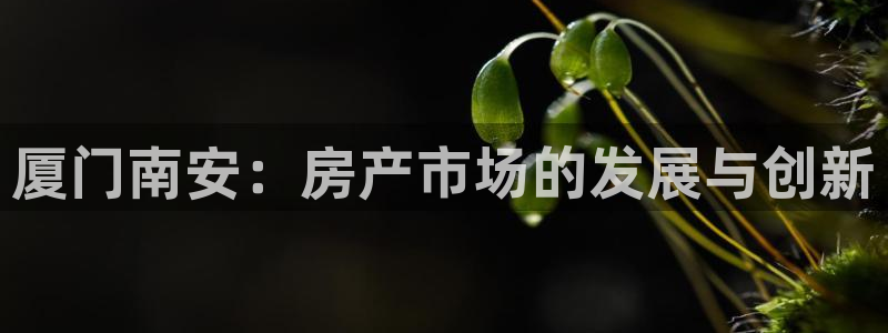 新宝5下载app：厦门南安：房产市场的发展与创新