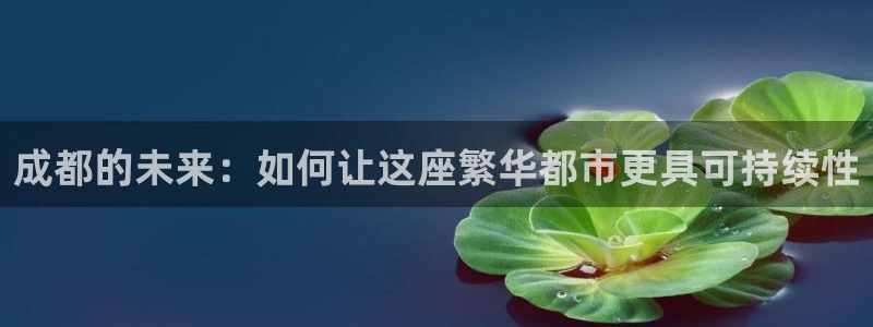 新宝5测试：成都的未来：如何让这座繁华都市更具可持续性