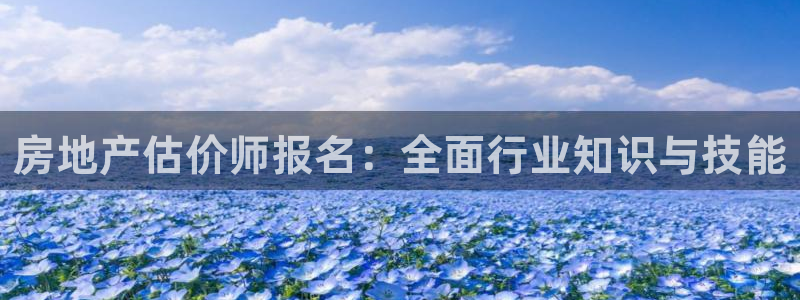 新宝5 注册：房地产估价师报名：全面行业知识与技能