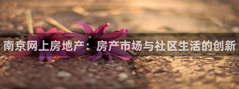 新宝_5：南京网上房地产：房产市场与社区生活的创新