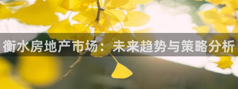 新宝5登录界面：衡水房地产市场：未来趋势与策略分析