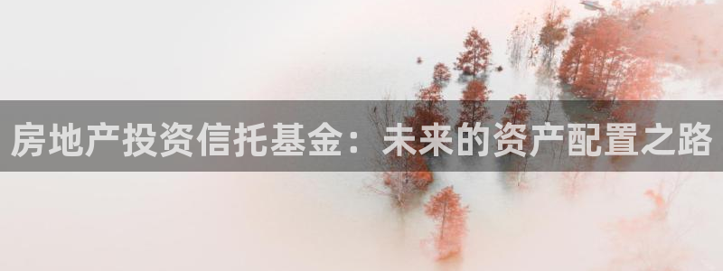 新宝5为啥开：房地产投资信托基金：未来的资产配置之路