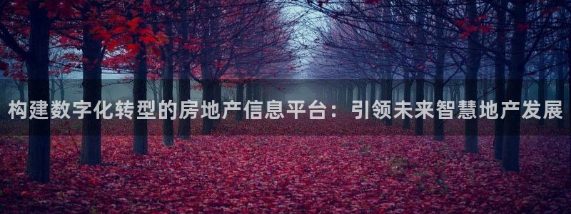 新宝5吕74OOO5：构建数字化转型的房地产信息平台：引领未