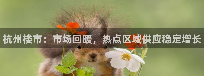 新宝5开户：杭州楼市：市场回暖，热点区域供应稳定增长