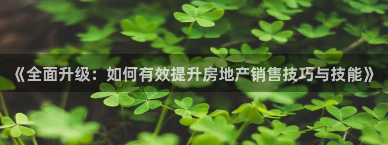 新宝5网站：《全面升级：如何有效提升房地产销售技巧与技能》