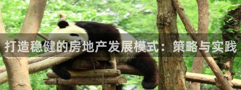 新宝5娱乐招商：打造稳健的房地产发展模式：策略与实践