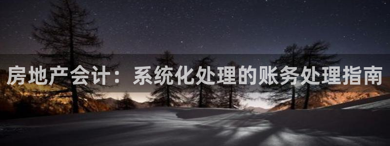 新宝5内部：房地产会计：系统化处理的账务处理指南