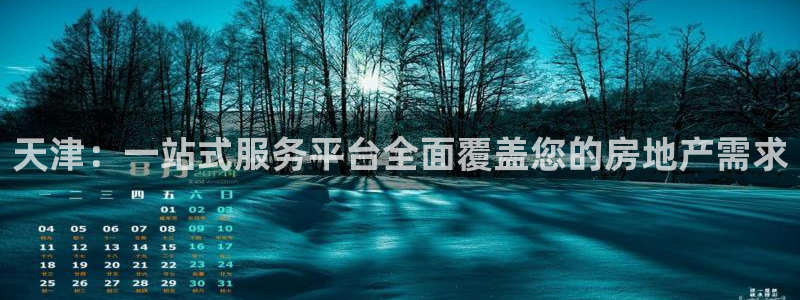 新宝5：天津：一站式服务平台全面覆盖您的房地产需求
