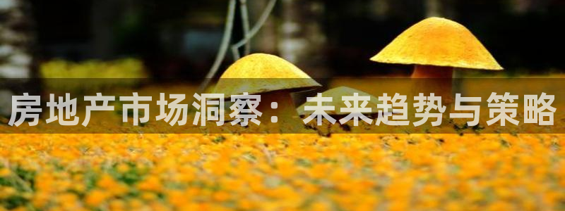 新宝5 代理：房地产市场洞察：未来趋势与策略