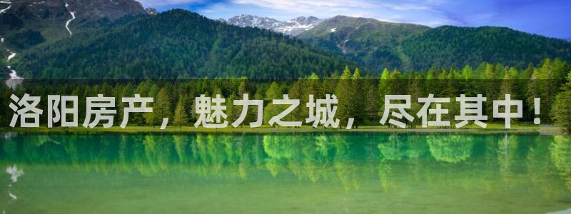 新宝5娱乐注