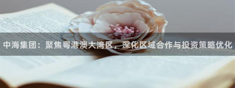 新宝5下载注册：中海集团：聚焦粤港澳大湾区，深化区域合作与投