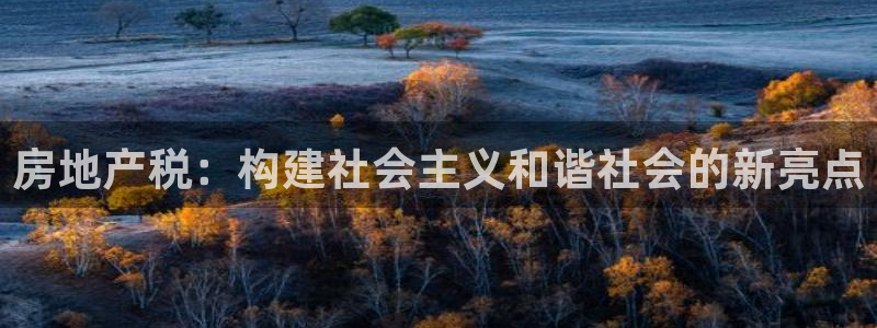 新宝5X：房地产税：构建社会主义和谐社会的新亮点