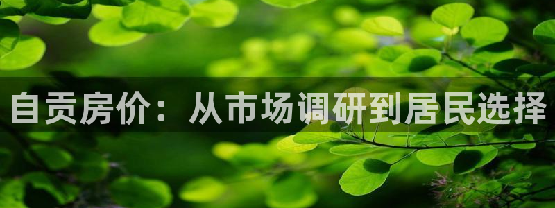 有人知道新宝5么：自贡房价：从市场调研到居民选择