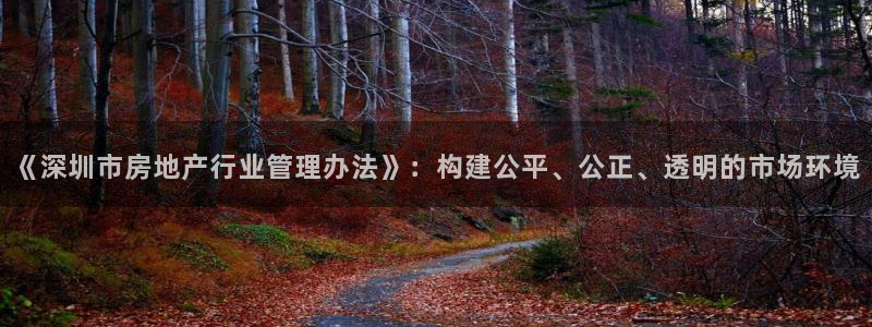 新宝5注册账号：《深圳市房地产行业管理办法》：构建公平、公正