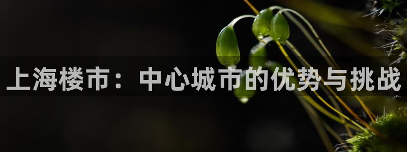 新宝5娱乐招商：上海楼市：中心城市的优势与挑战
