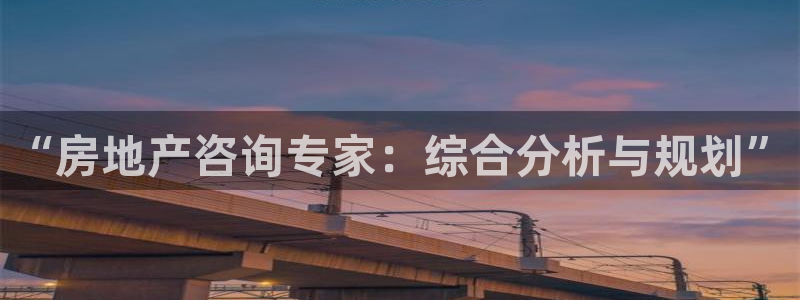 新宝5 注册：“房地产咨询专家：综合分析与规划”