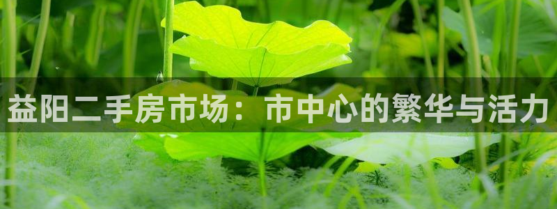 新宝5平棋牌：益阳二手房市场：市中心的繁华与活力
