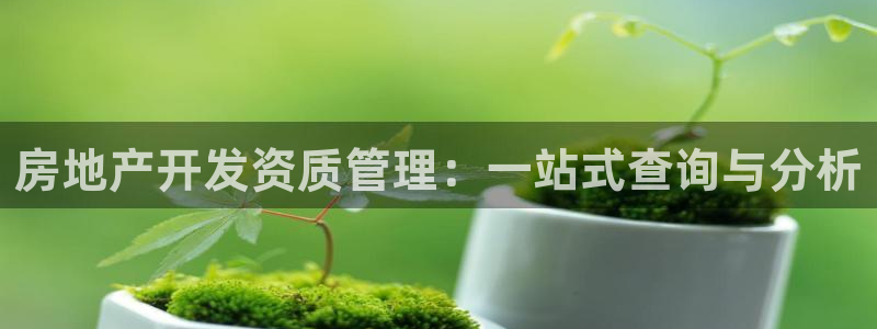 新宝5官方网站：房地产开发资质管理：一站式查询与分析