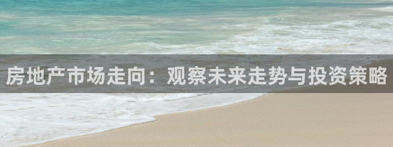 菲律宾新宝5老板：房地产市场走向：观察未来走势与投资策略