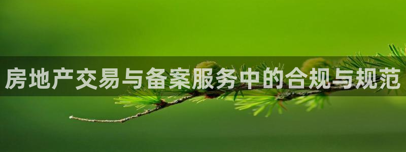 新宝xb5：房地产交易与备案服务中的合规与规范