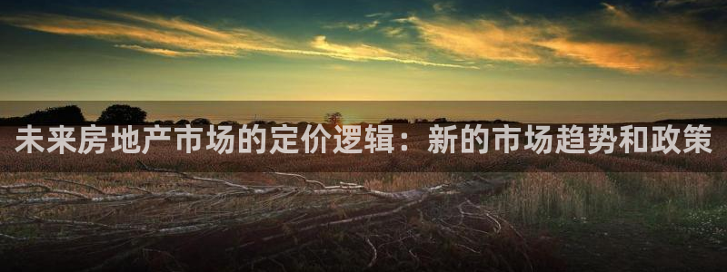 新宝5唯一：未来房地产市场的定价逻辑：新的市场趋势和政策