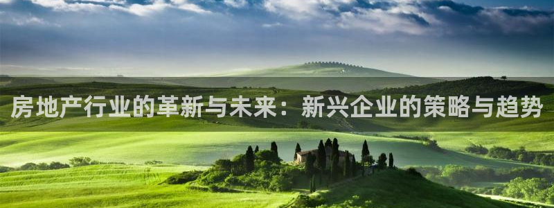 新宝5：房地产行业的革新与未来：新兴企业的策略与趋势