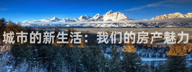 新宝5如何注册登录：城市的新生活：我们的房产魅力