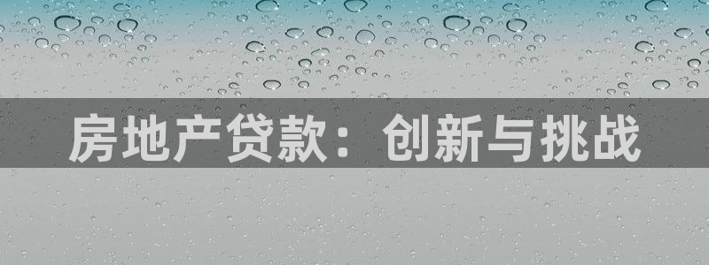 新宝5黑：房地产贷款：创新与挑战