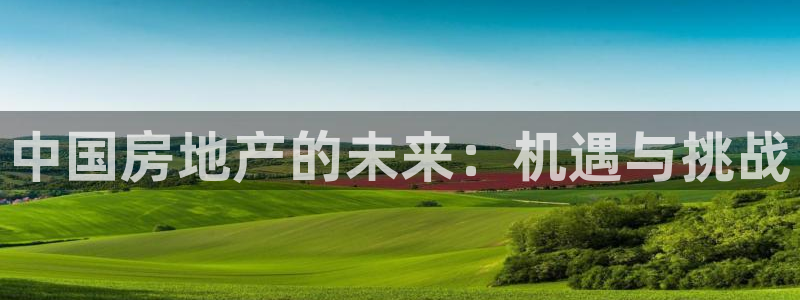 新宝股东张听2 5 5：中国房地产的未来：机遇与挑战