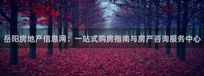 新宝5郑74OOO5：岳阳房地产信息网：一站式购房指南与房产