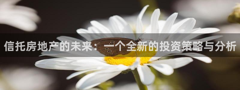 新宝5线路登录检测：信托房地产的未来：一个全新的投资策略与分