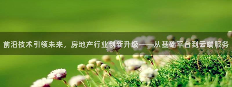 新宝5电脑登录网址：前沿技术引领未来，房地产行业创新升级——