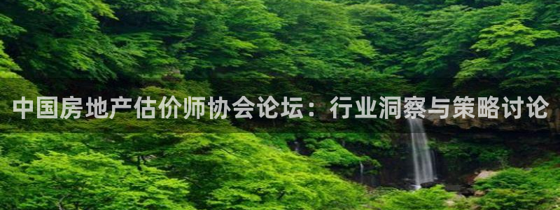 新宝5后：中国房地产估价师协会论坛：行业洞察与策略讨论