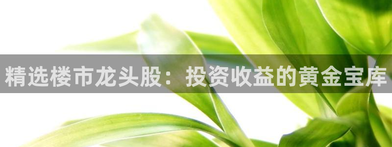新宝5骗术：精选楼市龙头股：投资收益的黄金宝库
