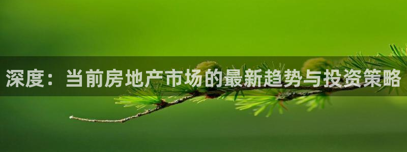 新宝5登录平台：深度：当前房地产市场的最新趋势与投资策略