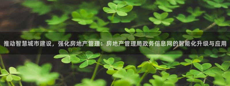 新宝5总代：推动智慧城市建设，强化房地产管理：房地产管理局政