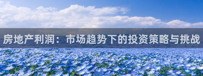 新宝5是什么：房地产利润：市场趋势下的投资策略与挑战
