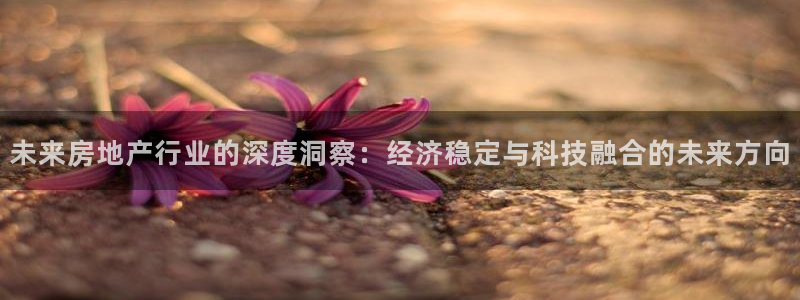 新宝5如何注册：未来房地产行业的深度洞察：经济稳定与科技融合