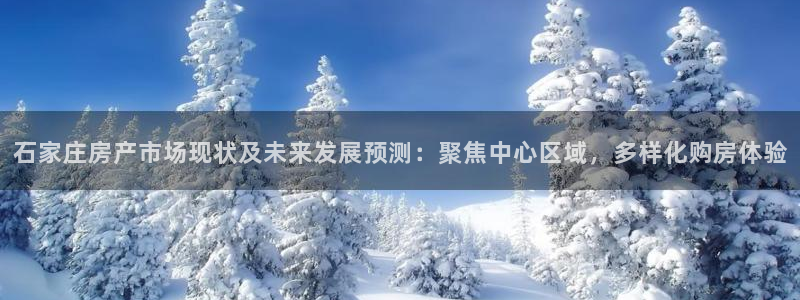 新宝5手机版登录：石家庄房产市场现状及未来发展预测：聚焦中心