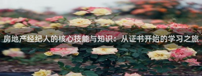 新宝5开好：房地产经纪人的核心技能与知识：从证书开始的学习之