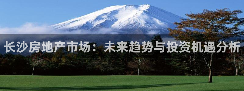 新宝5现在还能玩吗：长沙房地产市场：未来趋势与投资机遇分析